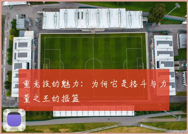 重竞技的魅力：为何它是格斗与力量之王的摇篮